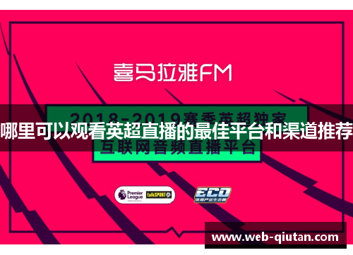 哪里可以观看英超直播的最佳平台和渠道推荐